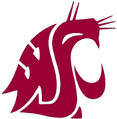 Washington U Logo